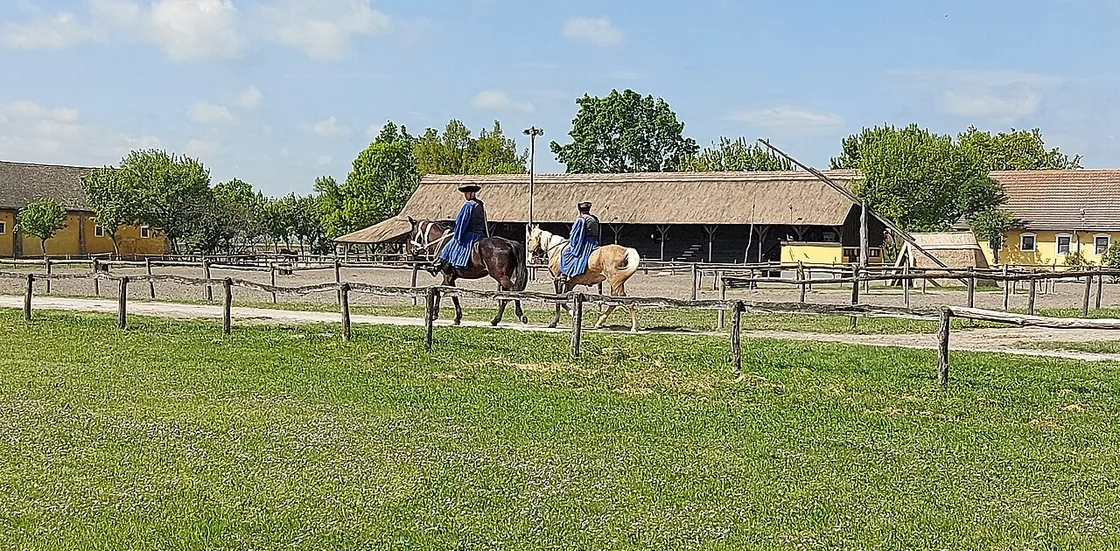 equitation php